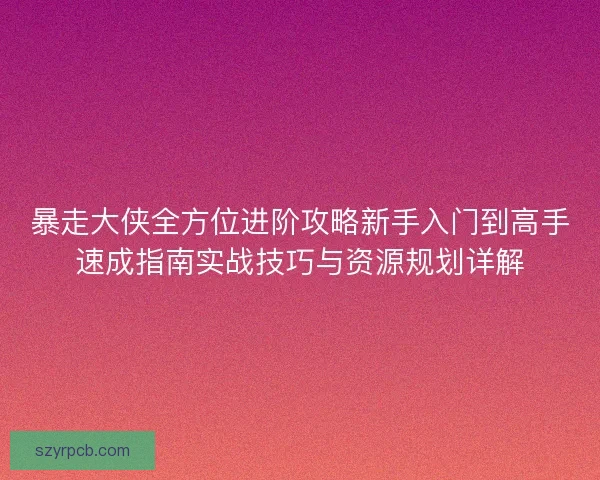 暴走大侠全方位进阶攻略新手入门到高手速成指南实战技巧与资源规划详解